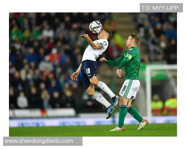 爱尔兰与奥地利激战成和比分揭晓精彩赛事回顾