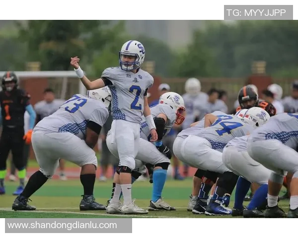 骑士与蓝网激战11月23日精彩对决分析与赛后点评